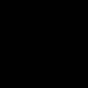 Meet your Posher, Ian